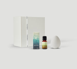 Aroma Oil, Aroma stone Egg set