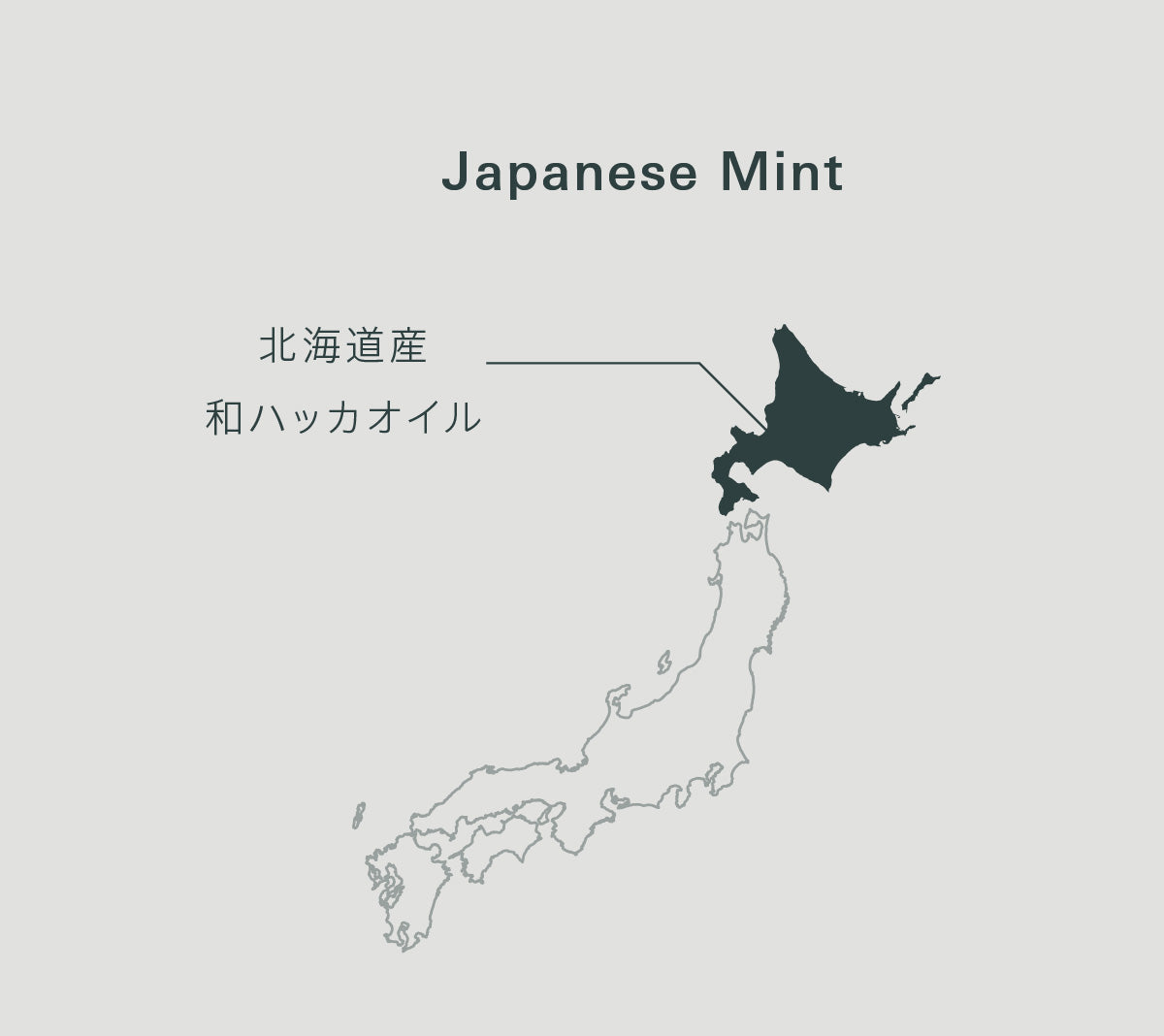 Yohaku Japanese Mint ジャパニーズミント 北海道産 MAP